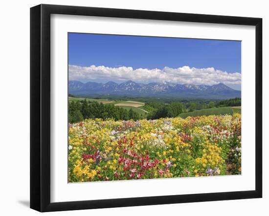 Columbines and Mt. Tokachi Range-null-Framed Premium Photographic Print