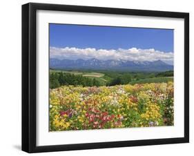 Columbines and Mt. Tokachi Range-null-Framed Premium Photographic Print