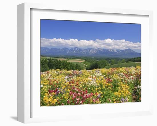 Columbines and Mt. Tokachi Range-null-Framed Photographic Print