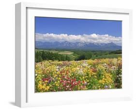 Columbines and Mt. Tokachi Range-null-Framed Photographic Print