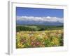 Columbines and Mt. Tokachi Range-null-Framed Photographic Print