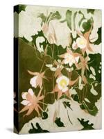 Columbines-Valerie Daniel-Stretched Canvas