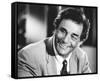 Columbo-null-Framed Stretched Canvas