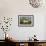 Columbus Farm House-Michael Budden-Framed Premium Giclee Print displayed on a wall