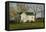 Columbus Farm House-Michael Budden-Framed Stretched Canvas