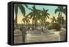 Columbus Park, Havana, Cuba-null-Framed Stretched Canvas