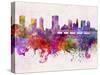 Columbus Skyline in Watercolor Background-paulrommer-Stretched Canvas