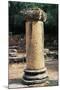 Column, Ancient City of Tipasa-null-Mounted Photographic Print