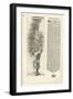 Column Decorated with an Animal Form, 1604-Joseph Boillot-Framed Giclee Print