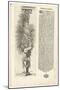 Column Decorated with an Animal Form, 1604-Joseph Boillot-Mounted Giclee Print