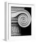 Column detail, U.S. Treasury Building, Washington, D.C. - Black and White Variant-Carol Highsmith-Framed Art Print