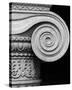 Column detail, U.S. Treasury Building, Washington, D.C. - Black and White Variant-Carol Highsmith-Stretched Canvas