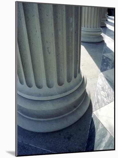 Column Detail-null-Mounted Photographic Print