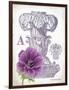 Column & Flower A-Gwendolyn Babbitt-Framed Art Print