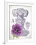 Column & Flower A-Gwendolyn Babbitt-Framed Art Print