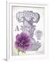 Column & Flower A-Gwendolyn Babbitt-Framed Art Print