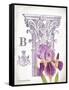 Column & Flower B-Gwendolyn Babbitt-Framed Stretched Canvas