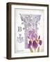 Column & Flower B-Gwendolyn Babbitt-Framed Art Print