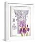 Column & Flower B-Gwendolyn Babbitt-Framed Art Print