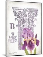 Column & Flower B-Gwendolyn Babbitt-Mounted Art Print