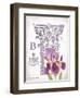 Column & Flower B-Gwendolyn Babbitt-Framed Art Print