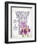 Column & Flower B-Gwendolyn Babbitt-Framed Art Print