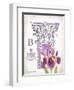 Column & Flower B-Gwendolyn Babbitt-Framed Art Print