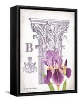 Column & Flower B-Gwendolyn Babbitt-Framed Stretched Canvas