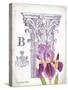 Column & Flower B-Gwendolyn Babbitt-Stretched Canvas