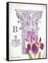 Column & Flower B-Gwendolyn Babbitt-Framed Stretched Canvas