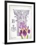 Column & Flower B-Gwendolyn Babbitt-Framed Art Print