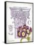 Column & Flower C-Gwendolyn Babbitt-Framed Stretched Canvas