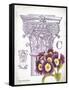 Column & Flower C-Gwendolyn Babbitt-Framed Stretched Canvas