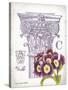 Column & Flower C-Gwendolyn Babbitt-Stretched Canvas