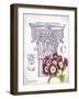 Column & Flower C-Gwendolyn Babbitt-Framed Art Print