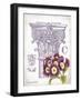 Column & Flower C-Gwendolyn Babbitt-Framed Art Print