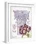 Column & Flower C-Gwendolyn Babbitt-Framed Art Print