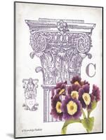 Column & Flower C-Gwendolyn Babbitt-Mounted Art Print