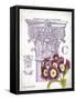 Column & Flower C-Gwendolyn Babbitt-Framed Stretched Canvas