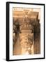 Column I-Marina Drasnin Gilboa-Framed Art Print