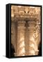 Column II-Marina Drasnin Gilboa-Framed Stretched Canvas