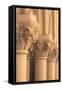 Column III-Marina Drasnin Gilboa-Framed Stretched Canvas