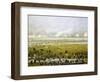 Column of Argentine Forces Led by General Emilio Mitre, Launching Attack in Curupayty-Candido Lopez-Framed Giclee Print