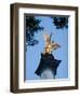 Column of the Angel of Peace (Friedensengel), Munich, Bavaria, Germany-Yadid Levy-Framed Photographic Print