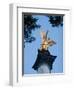 Column of the Angel of Peace (Friedensengel), Munich, Bavaria, Germany-Yadid Levy-Framed Photographic Print