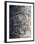 Column of Trajan-Apollodorus Of Damascus-Framed Art Print