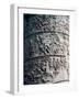 Column of Trajan-Apollodorus Of Damascus-Framed Art Print