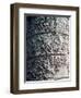 Column of Trajan-Apollodorus Of Damascus-Framed Art Print