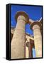 Column Reliefs, Hypostyle Hall, the Ramesseum (Mortuary Temple of Ramese Ii)-Richard Maschmeyer-Framed Stretched Canvas