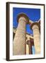 Column Reliefs, Hypostyle Hall, the Ramesseum (Mortuary Temple of Ramese Ii)-Richard Maschmeyer-Framed Photographic Print